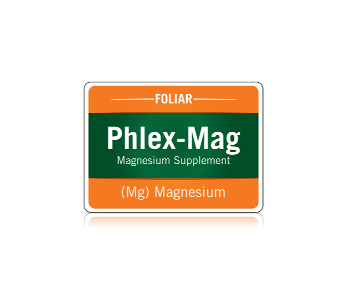 Phlex Mag